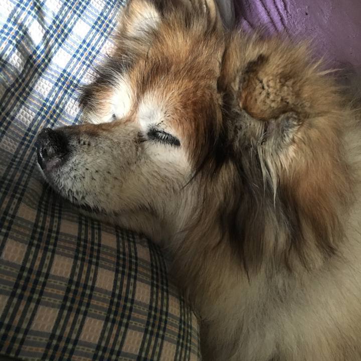 010ee1cf 919b 426f bc99 86ae7b558f7a 1600833170164