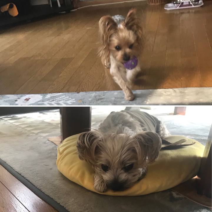 010f190a 9f78 4bd4 8ca6 330a23d38227 1570093570875