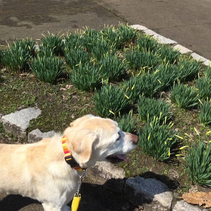 010f1b5c 14f7 4cbb b42b ddb0661aaef2 1523330567160