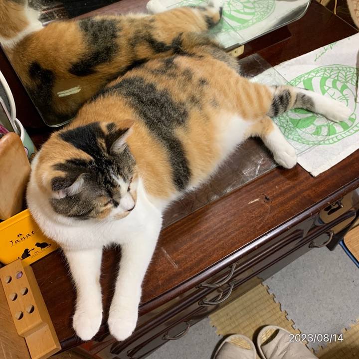 010f256f 8643 4e83 8474 4f344c0def96 1691970913479