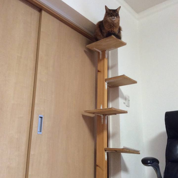 010f33a7 4bd6 4c26 a616 e938dbec1c90 1642739400104