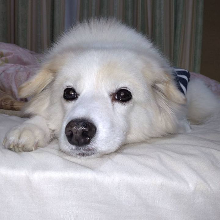 010f5576 29e6 47d6 a7ed 907b0511c61f 1642023589743