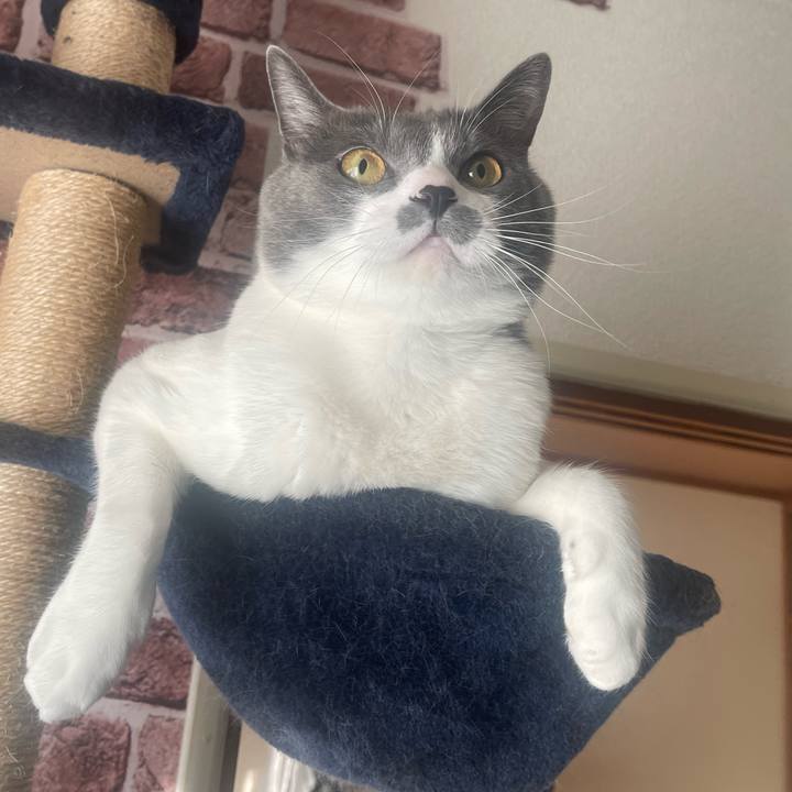 010f79ca 1d4a 47c1 9f1c 0d8571607f03 1670973403975