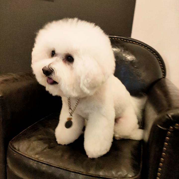 010fd21c d5e0 4dfe 9e93 b21e1dcf3c0b 1769942001040