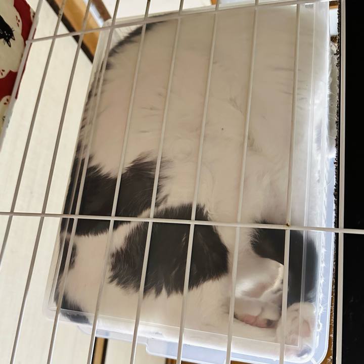 010ff6f8 cbab 4ad4 b40e bafc47d27277 1695864250329