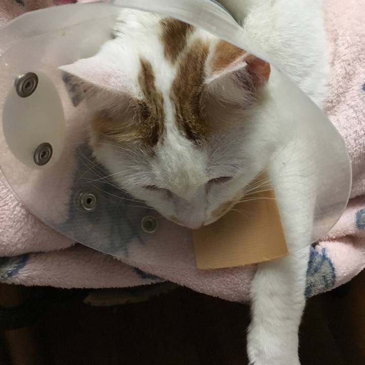 01101713 7eee 4181 a033 8d446525ac3e 1549873966013