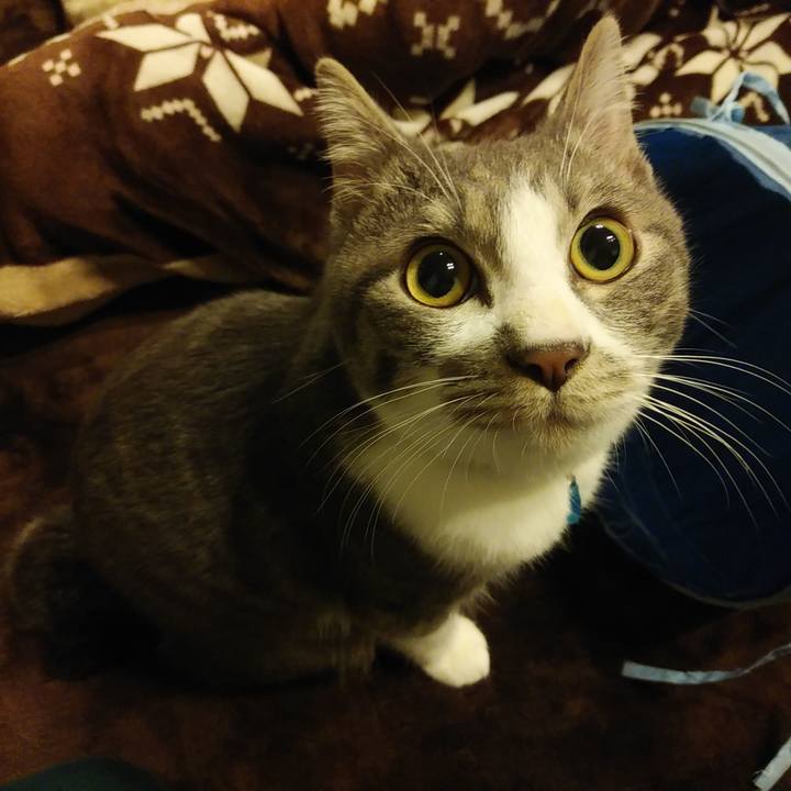 0110217e cd09 46bf 82c9 7bdb8ca99094 1577629269955