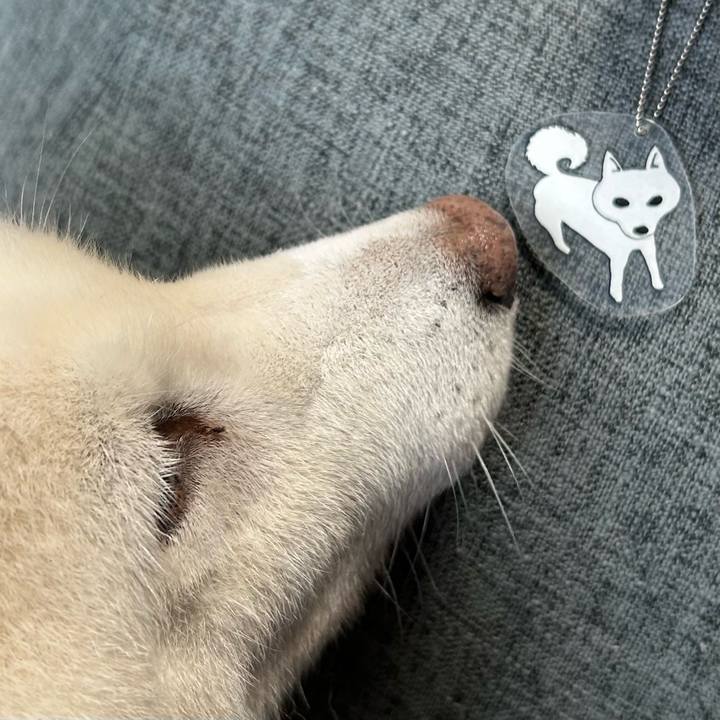 01102433 5e96 4be6 a588 637d4247d26a 1755900701903