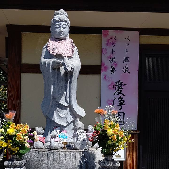 01103b83 260c 4564 9074 4a3518c886ef 1587266684537