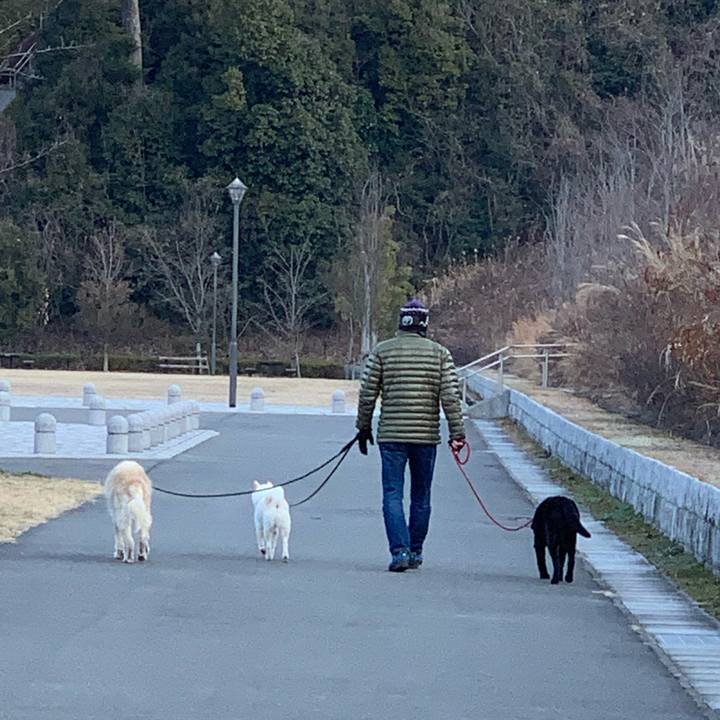 0110839c 949e 42b0 abd4 a13cc1711940 1550454993355