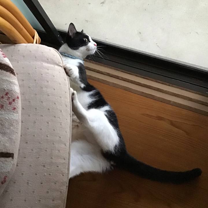 0110b2f9 e707 453a 9cb5 45aa7995b840 1661250439657