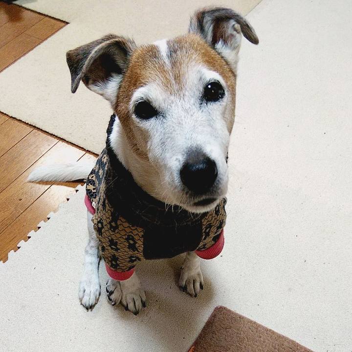 0110bb61 347b 4ef0 87e5 5805f82f8830 1576103746348