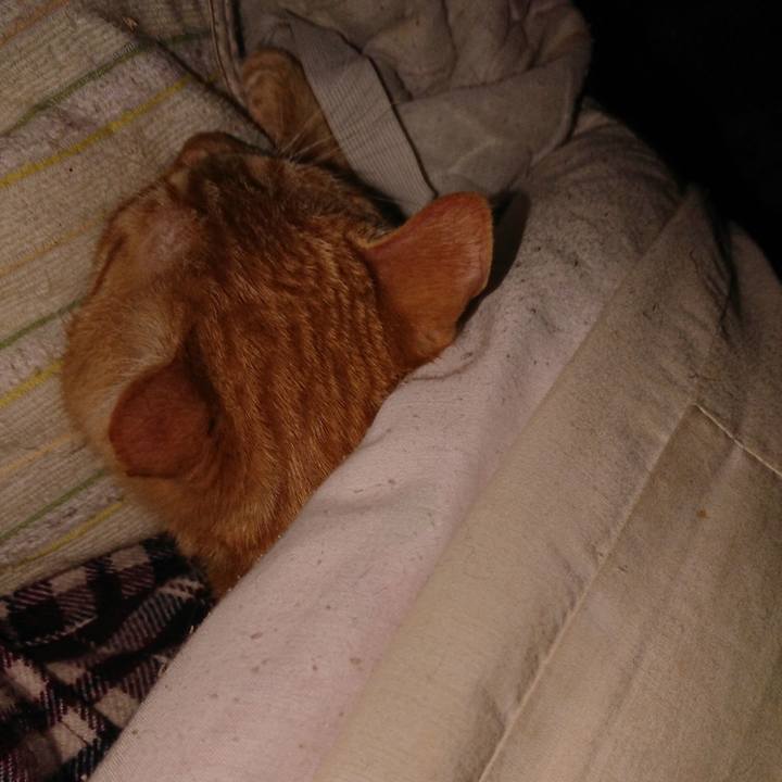 0110d427 cb29 4c49 bcbd 2bf8779a435e 1643144349361