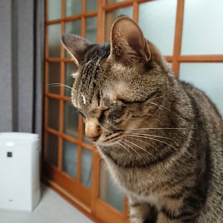 0110d86d 341e 47c3 aef2 0b6fa72c9375 1519144021912