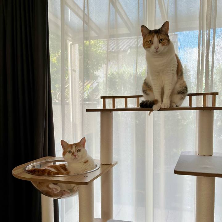 0110dc80 4d00 40f6 a121 12522064f7e7 1758426311642