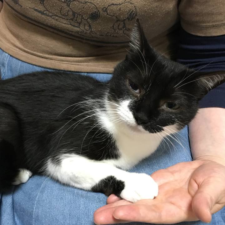 01116489 1663 44ea a098 73ee5d3945cf 1528984827762