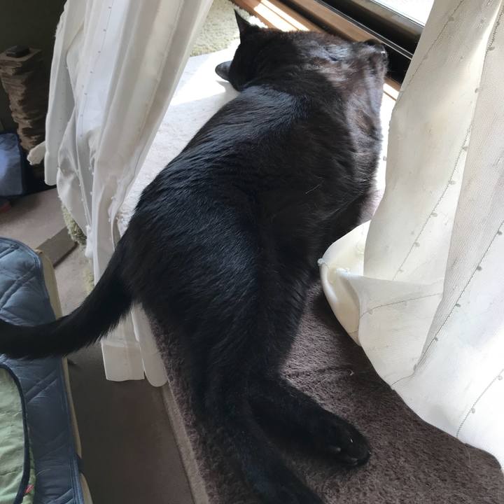 0111bc2a 46e2 4434 bbfb babf5d29a372 1534036967561