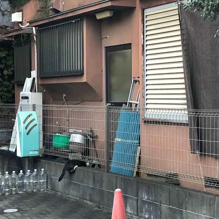 01120547 5daa 4485 8451 af06f4c4ec06 1575205683006