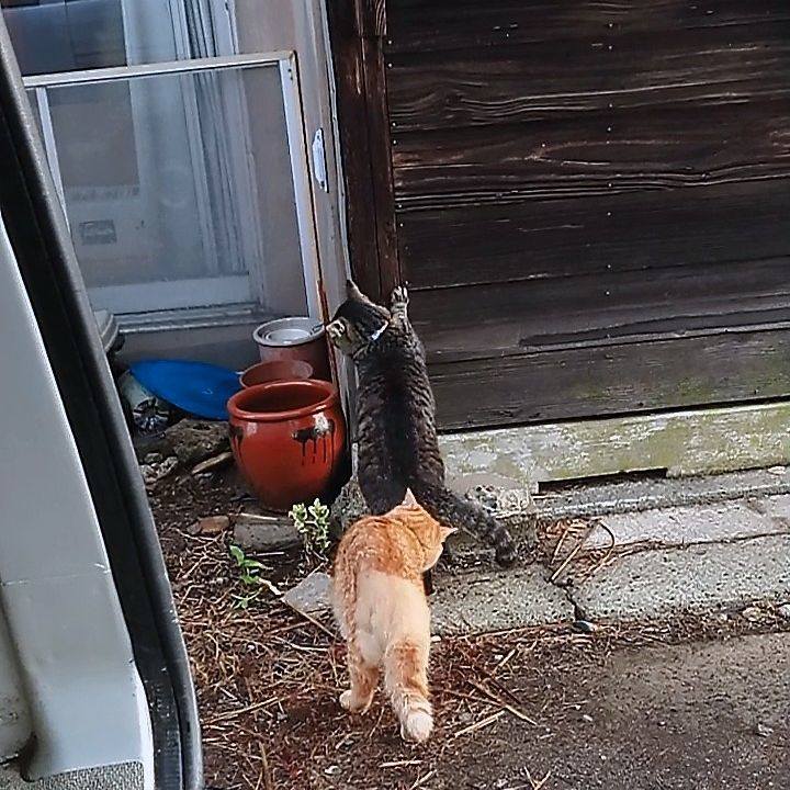 01122ca9 2421 4b7c ac79 efad589ee7a1 1658093440970