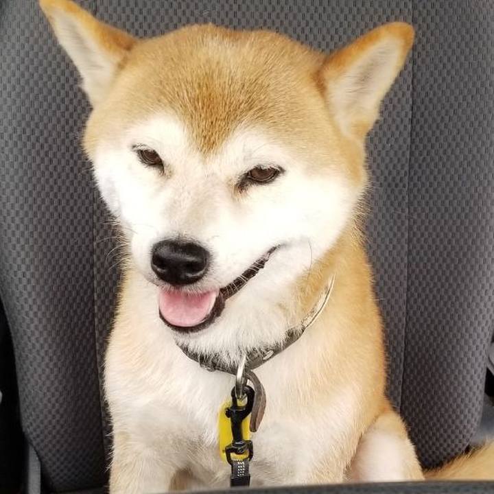 01124193 00d7 411d 8197 6107b562aaf1 1597376044238