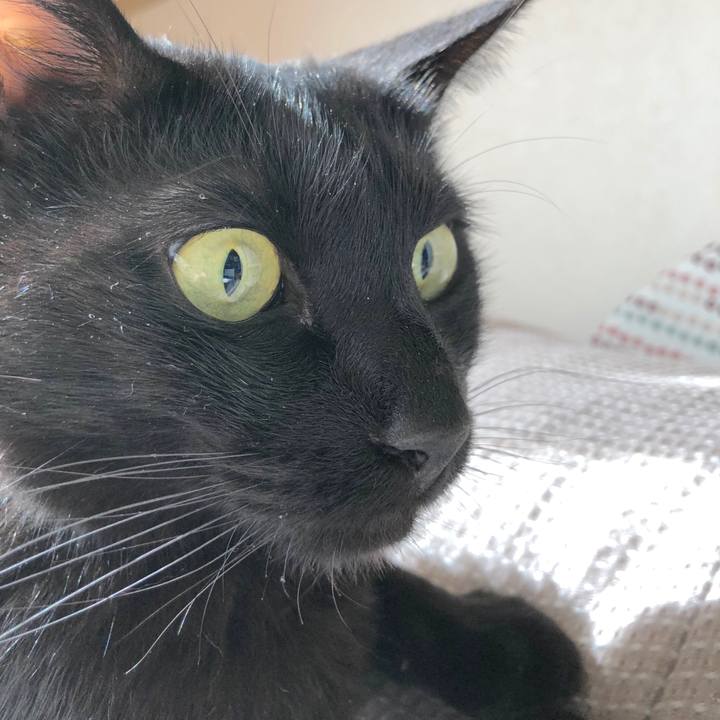 01124400 8d7d 4e2c 8c2d 36a48836b9f5 1524876893510