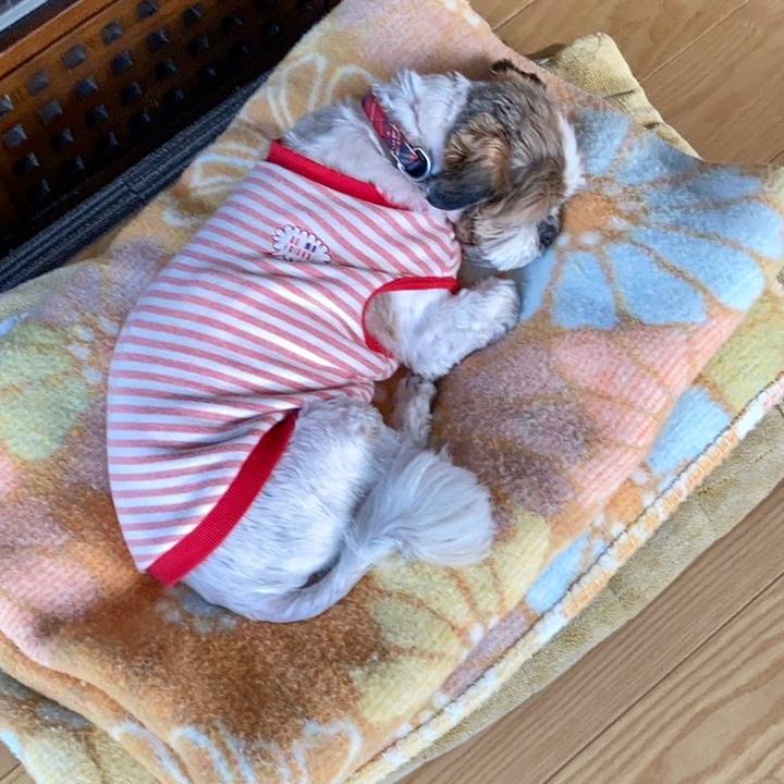 011284db d15a 4da6 8643 3d974a1da664 1678444944730