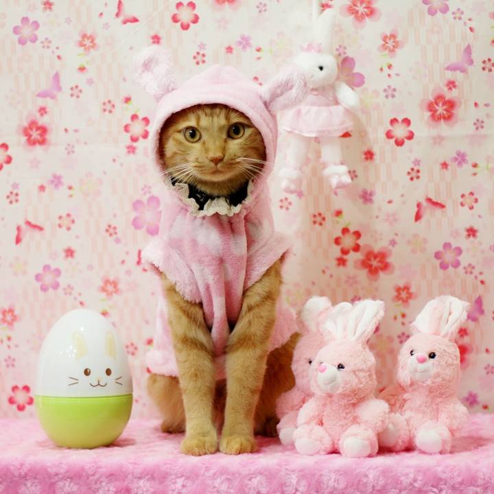 011294a3 50be 40c7 9406 a159774b33e0 1617490384372