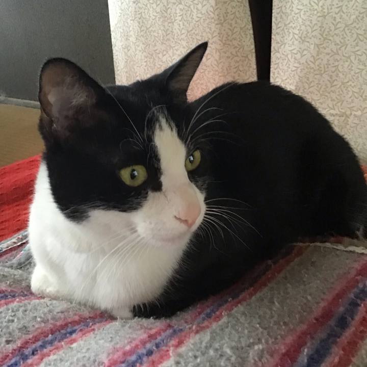 01129aa5 8356 4dee 83dc a510cef0ccac 1718448704897