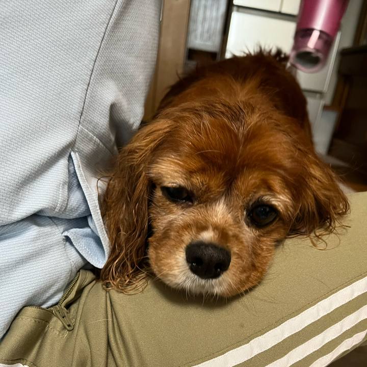 0112cc19 b103 45a2 99fb ec0aef676bc7 1715471728464