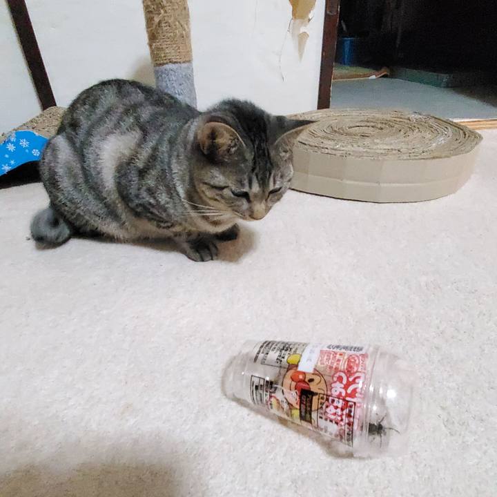 0112fe0d 3548 47fd b1ec 7ae4d3615e3b 1695037917241