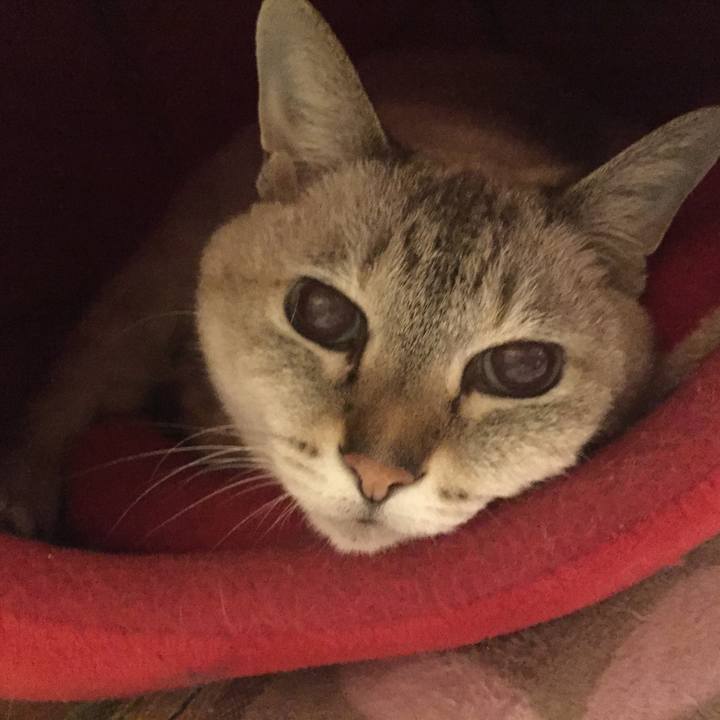 0112ffeb 1651 4de4 8d7d 08b0c3477adc 1539688696475