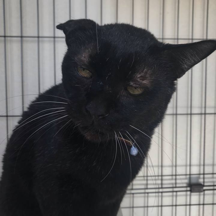 01133e58 b22f 4e67 a5bf f74a095622de 1545576273619