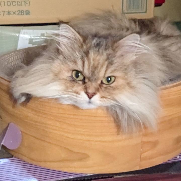 01134af8 65ce 40ef a87c b34655d77c70 1708956658561