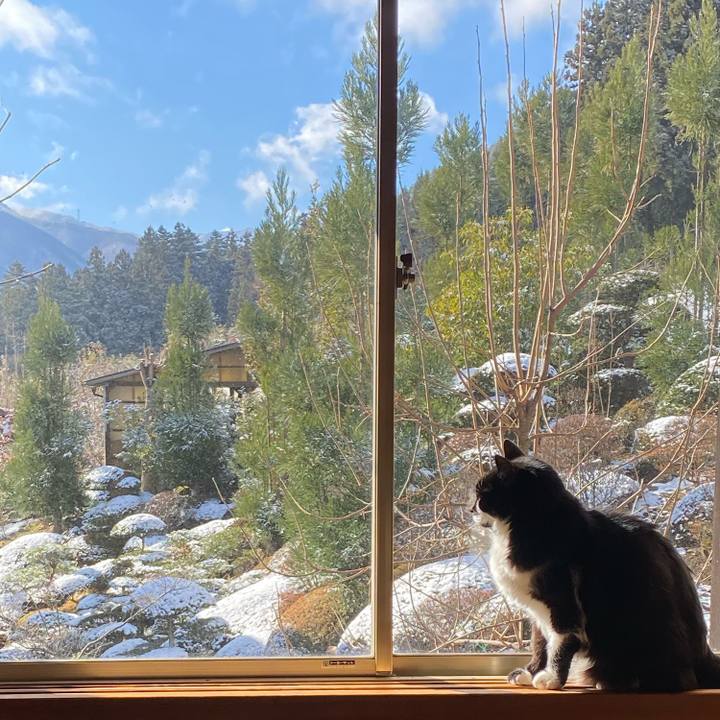 01136701 1ac6 4163 940e 0dda31baae7a 1734654542065