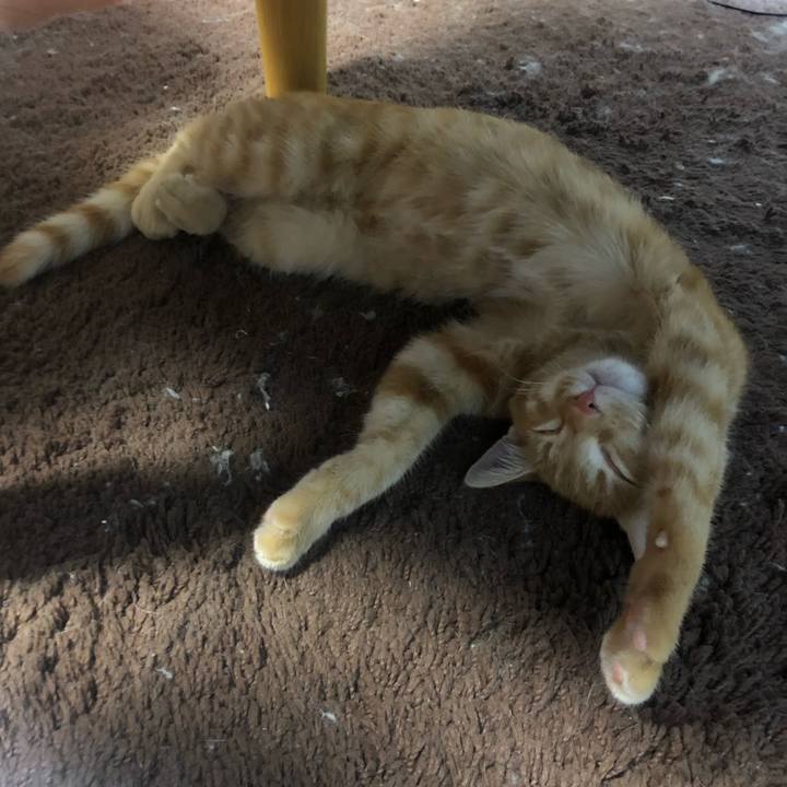 01136a2a 0ecc 4f48 b80a 153b6f96fd38 1569421532813