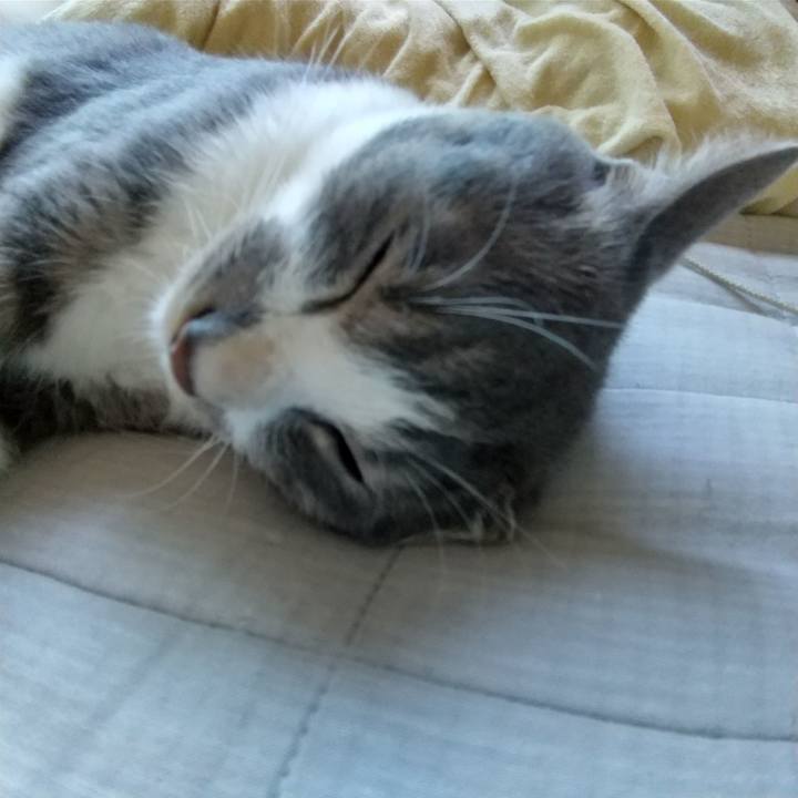 01136d91 08d8 46a6 ac44 fe86643be962 1597106957585