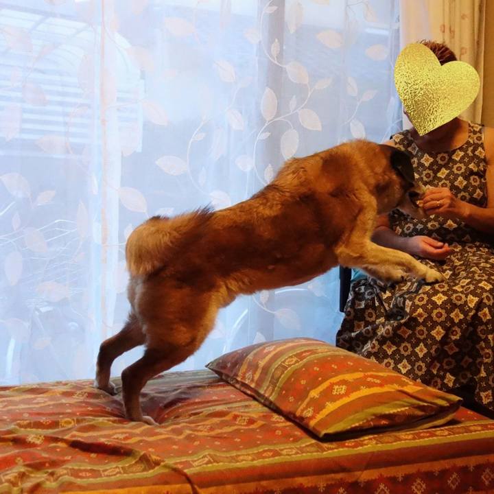 01137291 274d 4dec bde1 ceeca8053b24 1722643997643