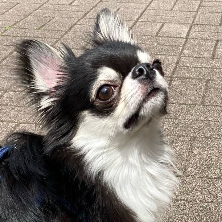 01137d4d 35af 4025 9570 3901bffe8eb8 1622264818627