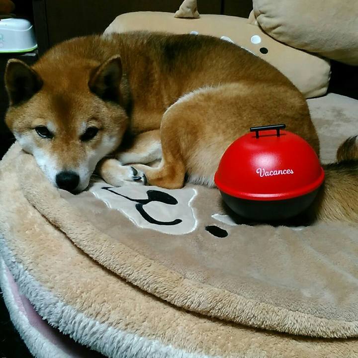 0113bbb2 9609 4e30 953e 9c8eaf9b34f2 1558178897993