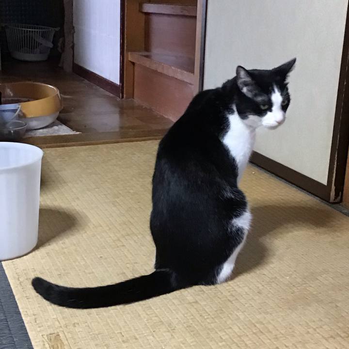 0113c55a 174b 444f 8fb0 73a9c4fc7fb7 1760165665009