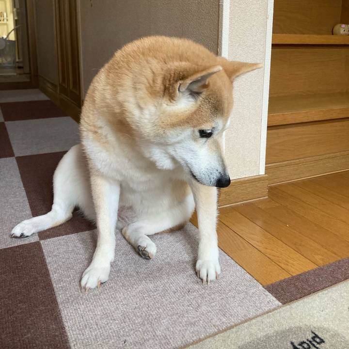 01145e03 1978 4e5c a475 01d6ec1c56de 1617595061417