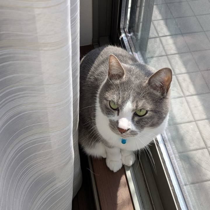 0114fe30 78ad 4837 bffc 6d594d7297a5 1742609125025