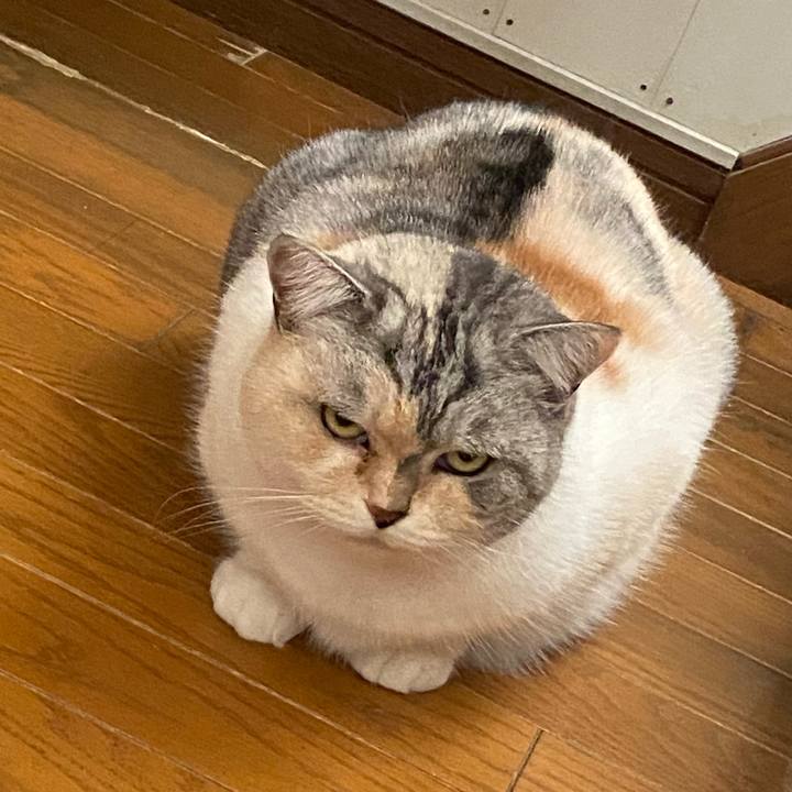 01153582 db17 4eca 9390 ed9072983502 1704501980126