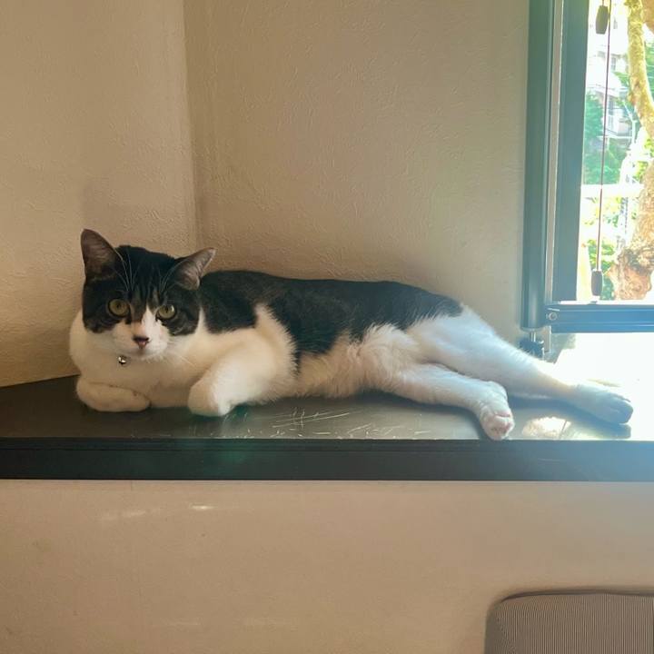 0115376e dd56 469e 942b e352bf458ffe 1758621592059