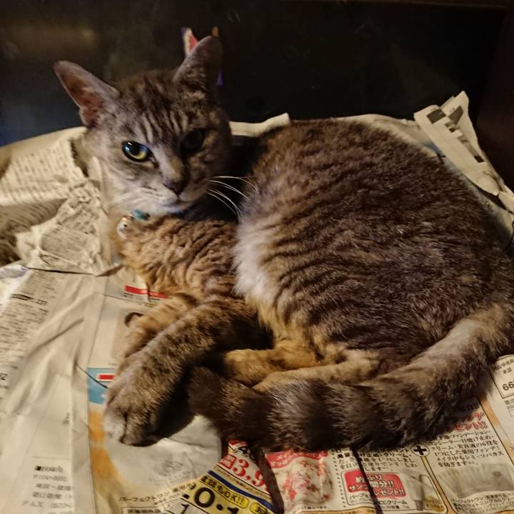 01153ade 79a3 4438 bf2d 2cf708e3dc27 1566940221469