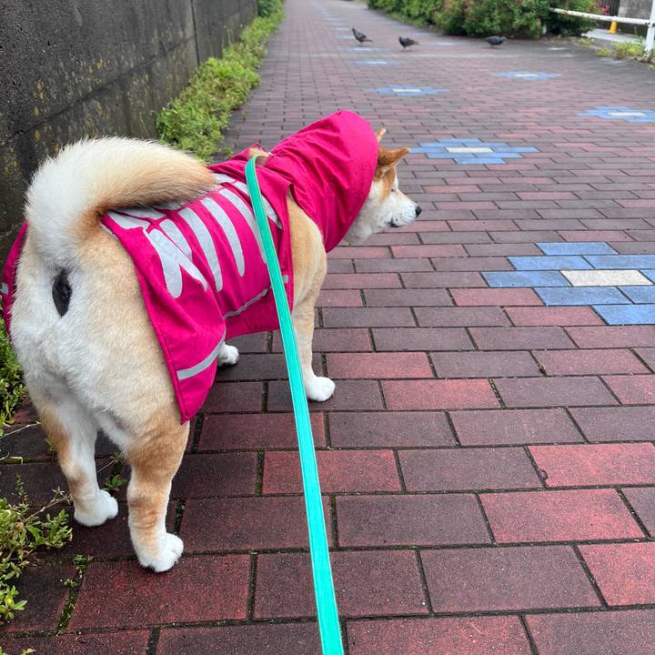 0115b0f1 7efa 424c bca8 05bc54e8b0b2 1715575328966