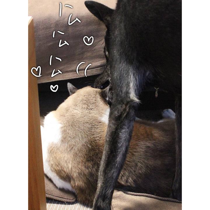 0115d428 e7e7 409e be43 53d37b6f06db 1513173850777