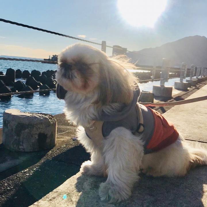 0115d9be 732c 4567 bbe7 4c6860a453e8 1672404724252