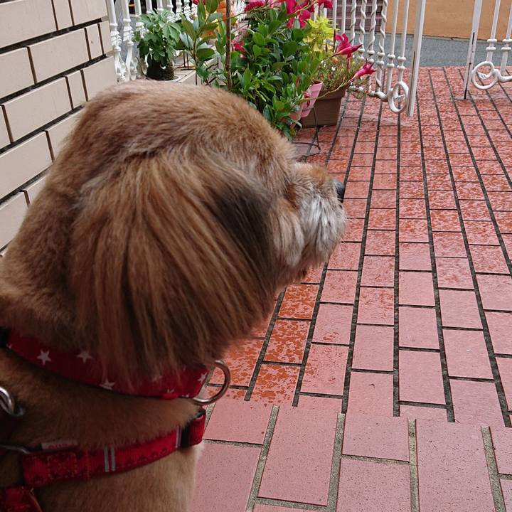 0115f1c9 80bf 4121 9ece d92776d9fe99 1566284106140