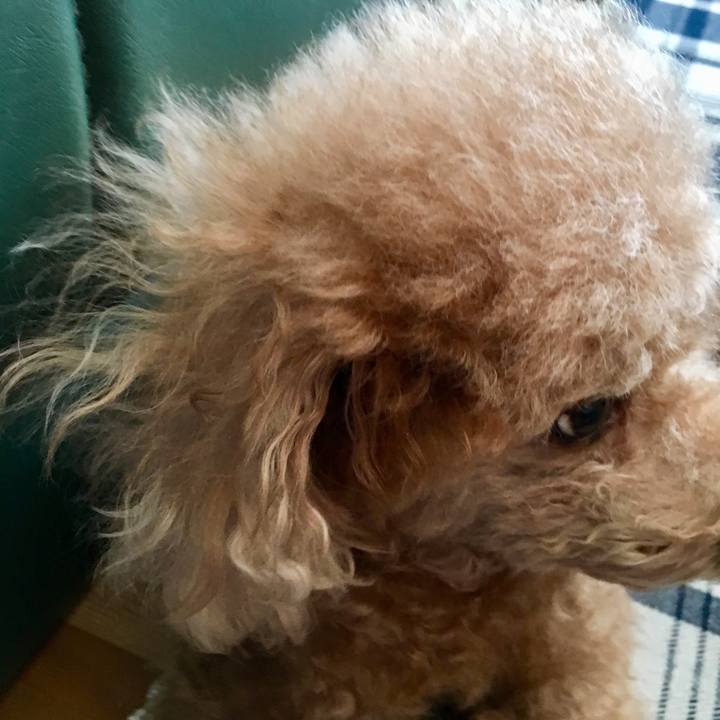 01162113 5c31 45de aa14 fbf88bd4dde1 1512782388774